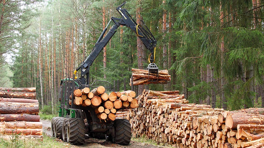 vietnam-eu-agreement-reducing-illegal-logging-promoting-timber-trade