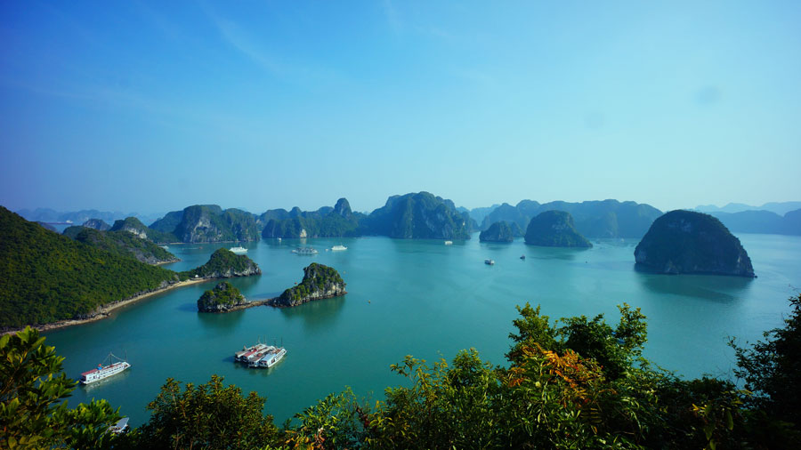 vietnam tourism industry