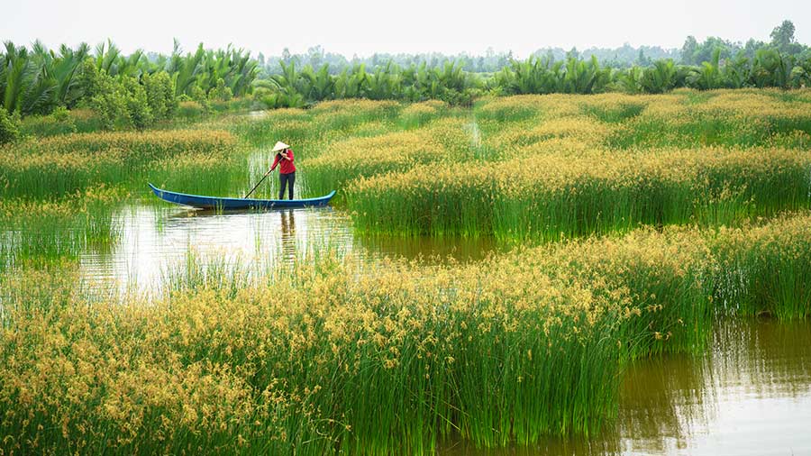 Long An – A Promising Investment Hub in Southern Vietnam